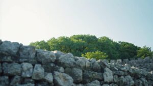 投稿についてもっと詳しく 舞鶴公園と福岡城跡を歩くと、「福岡」という名前が少しわかる