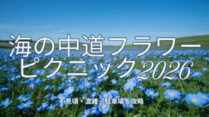 投稿についてもっと詳しく 海の中道フラワーピクニック2026｜見頃・混雑・駐車場を攻略